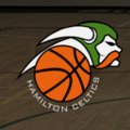 IBSA Hamilton Academy Private Basketball Coach