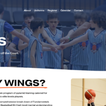 Wings Basketball Academy